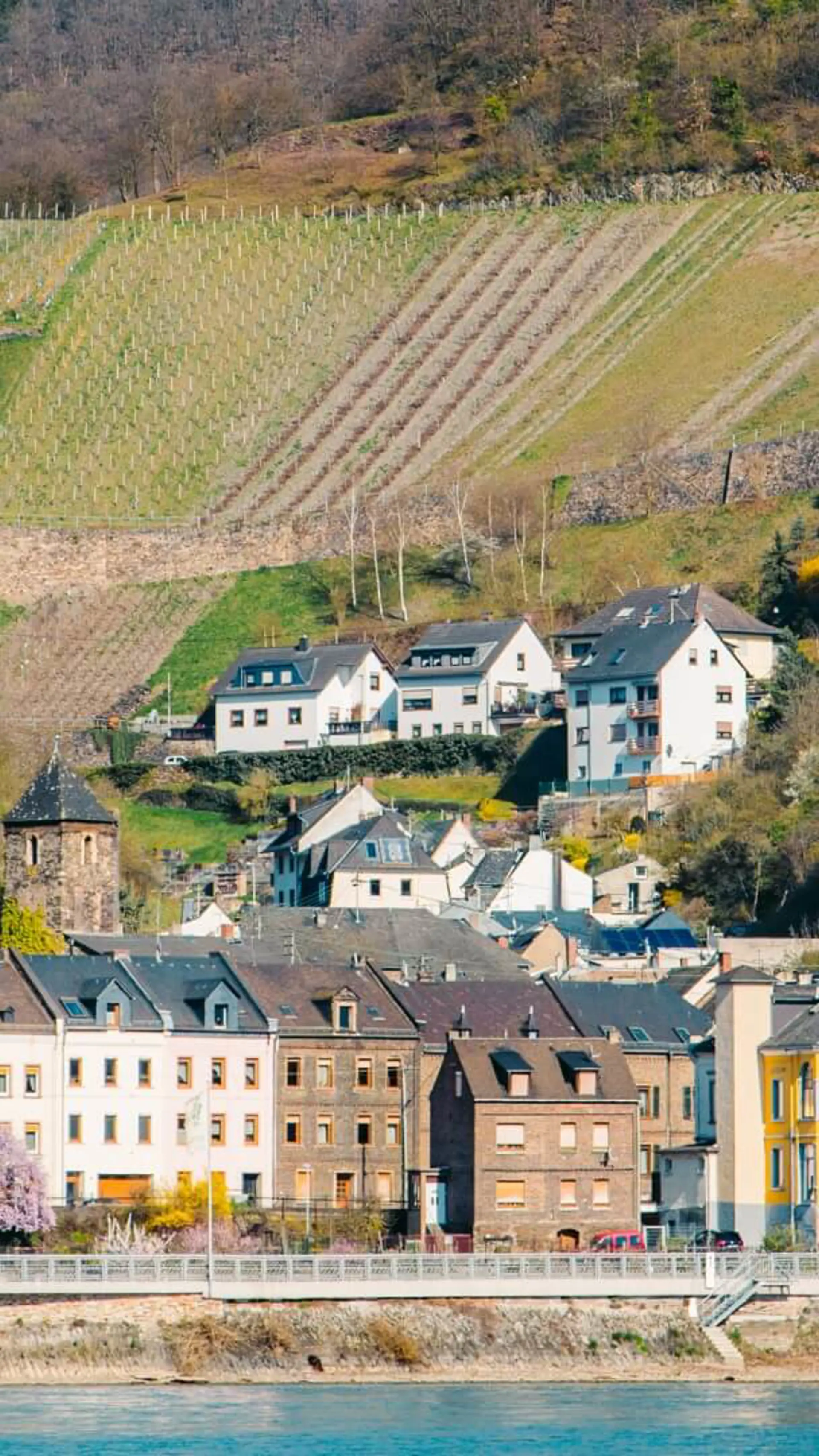 Rheinland-Pfalz + Saarland