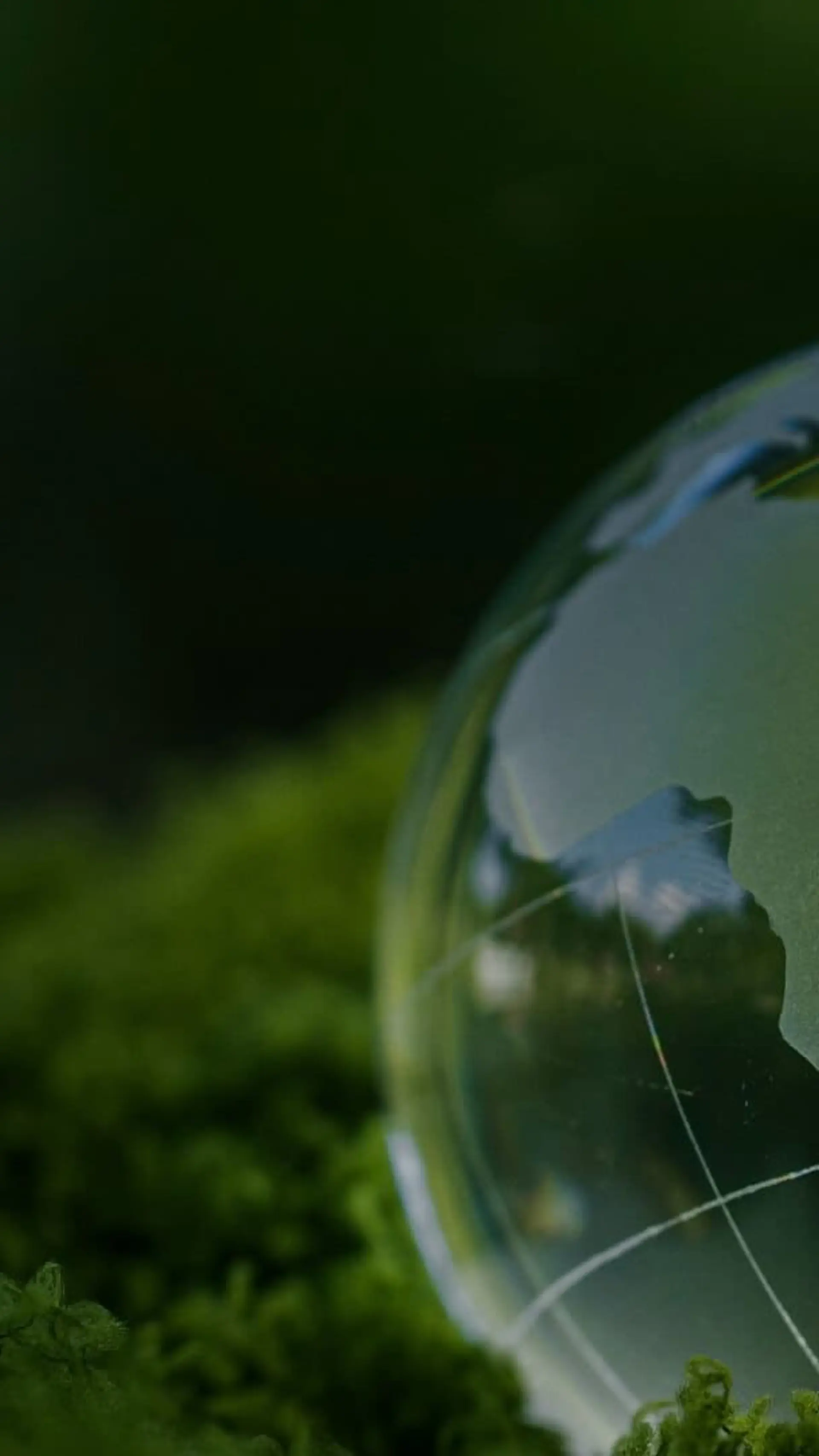 Green Economy