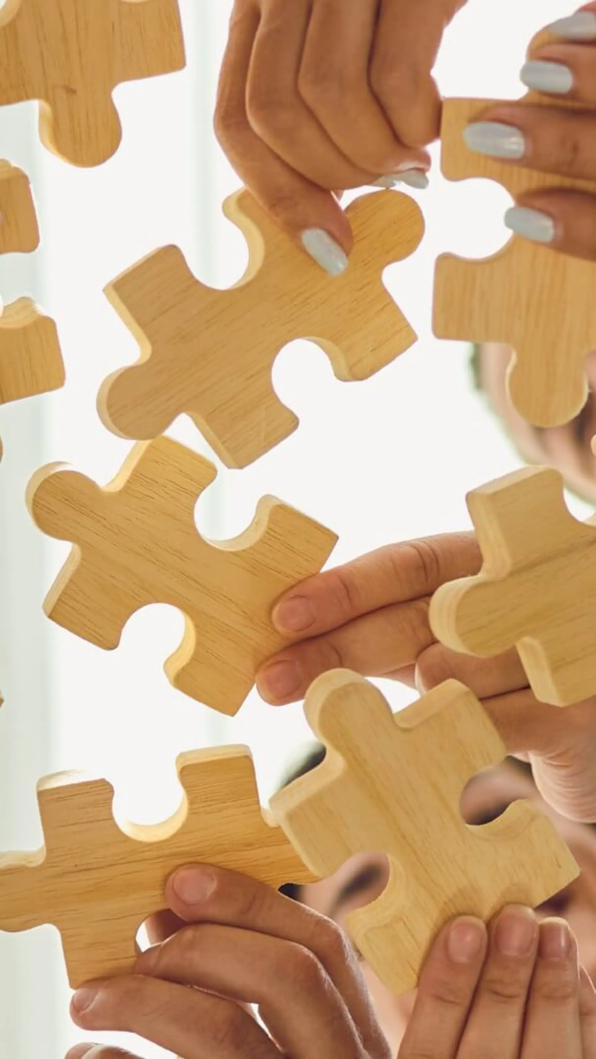 Teambuilding / Teamentwicklung