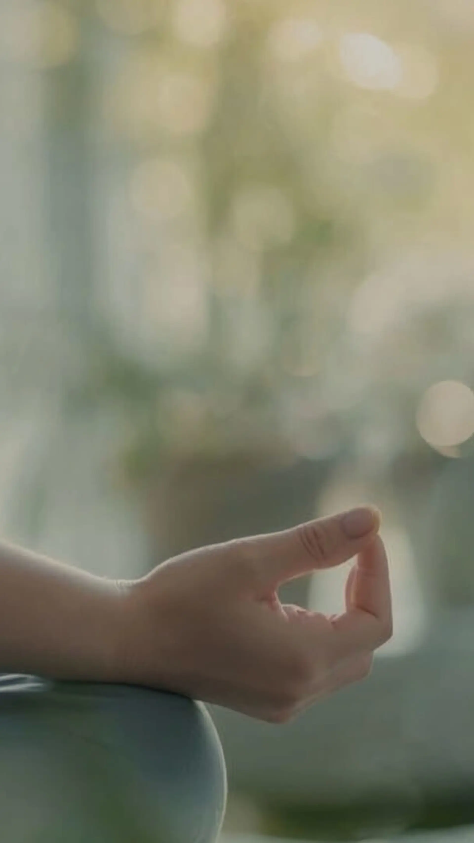 Meditation