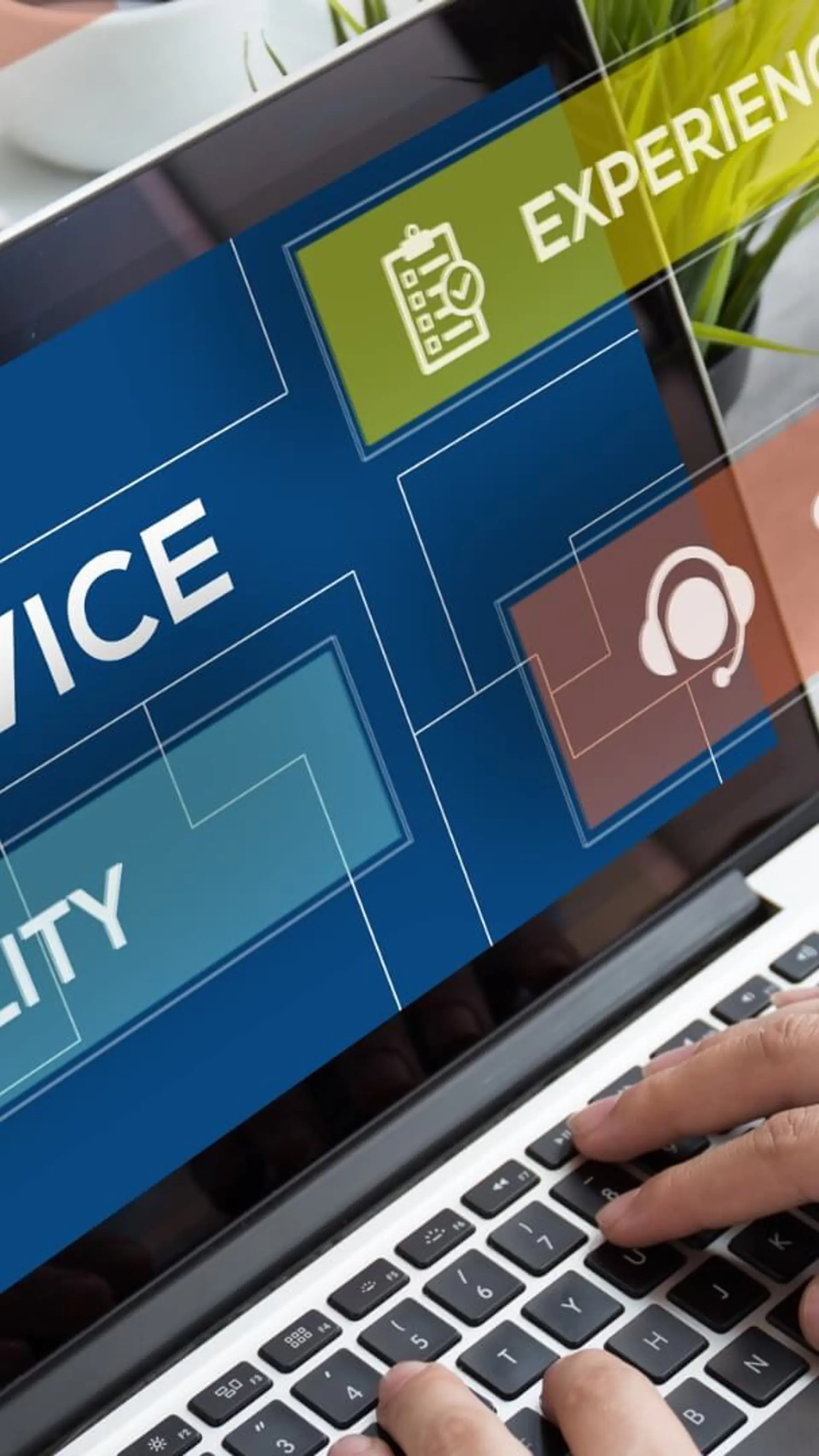 Service und Servicekultur