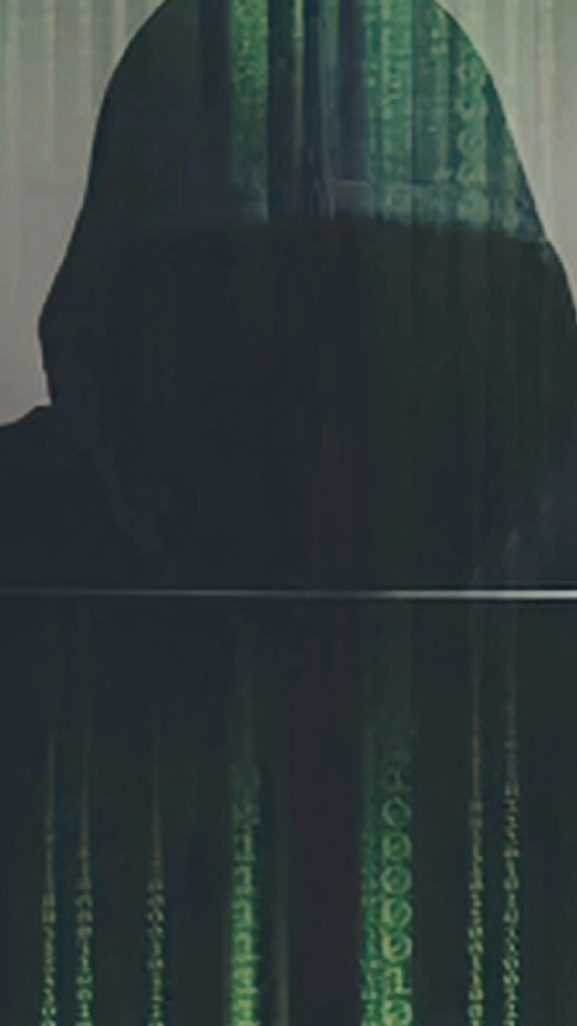 Cyberkriminalität / Cybercrime